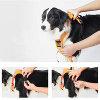 Thumbnail for Vibe Geeks Ultimate 2-in-1 Reflective No-pull Dog Harness with Retractable Leash and Control Handle - Red - M