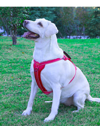 Thumbnail for Reflective Dog Harness with Leash, No-Pull Vest Harness for Dogs, Adjustable Dog Vest with Handle, Walking Training Pet Harness xs size