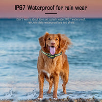 Thumbnail for Reflective Dog Collar with Adjustable Strap and Durable Buckle,High Visibility for Night Safety