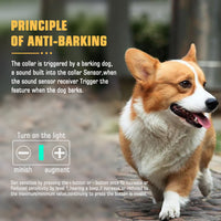 Thumbnail for Reflective Dog Collar with Adjustable Strap and Durable Buckle,High Visibility for Night Safety