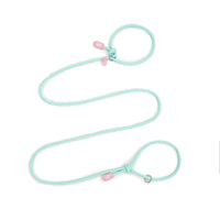 Thumbnail for Adjustable Slip-On Dog Leashes - Lightweight and Comfortable Training Leads for Pets 3.35cm*8mm (Green, 2 pieces)