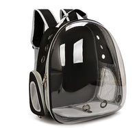 Thumbnail for Black Pet Carrier Backpack with Transparent Window 33*18*42cm
