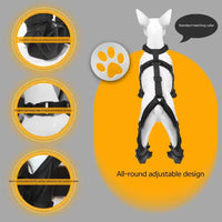 Thumbnail for XS Waterproof Non-Slip Dog Shoes - All-Season Dog Boots for Protection, Anti-Slip Pet Footwear, Durable and Comfortable