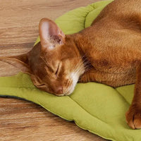 Thumbnail for 2 Pcs Yellow Leaf-Shaped Pet Sleeping Mat - Durable Dog Floor Pad & Cat Bed for Sleeping and Playtime