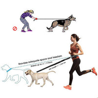 Thumbnail for Black Reflective Pet Waist Bag with Hands-Free Leash for Night Safety - Adjustable Waist Pack with Detachable Pouches