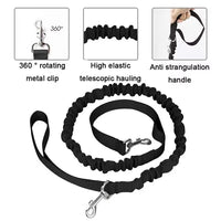 Thumbnail for Black Reflective Pet Waist Bag with Hands-Free Leash for Night Safety - Adjustable Waist Pack with Detachable Pouches