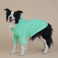 Thumbnail for 8XL Green Cute Dog Hoodie with Adjustable Drawstring - Available in Various Sizes