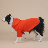 Thumbnail for 8XL Orange Cute Dog Hoodie with Adjustable Drawstring - Available in Various Sizes