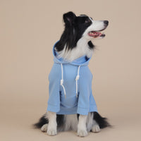 Thumbnail for 2XL Blue Cute Dog Hoodie with Adjustable Drawstring - Available in Various Sizes