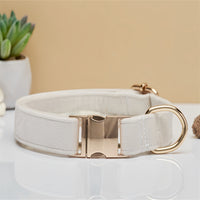 Thumbnail for Beige Durable Dog Collar with Metal Buckle - Adjustable Nylon Pet Collar for Small to Large Dogs Size M