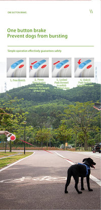 Thumbnail for Black 5M Retractable Dog Leash - With Small Box, Suitable For Small And Medium Dogs