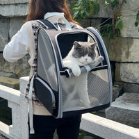 Thumbnail for Black Foldable Pet Carrier Backpack - Breathable Mesh Travel Bag for Cats & Small Dogs