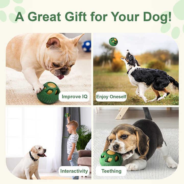 Green Ball and Black Mold Pet Treat Dispensing Ball and Molding Set - Silicone Dog Chew Toy for Teeth Cleaning and Boredom Relief