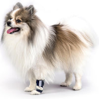 Thumbnail for 3 Pcs Size S Dark Blue Supportive Dog Leg Brace - Adjustable Carpal/Tarsal Splint for Injury & Arthritis Relief