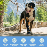 Thumbnail for 3 Pcs Size M Dark Blue Supportive Dog Leg Brace - Adjustable Carpal/Tarsal Splint for Injury & Arthritis Relief