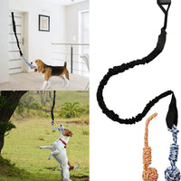 Thumbnail for Red And Colored Cotton Balls Interactive Bungee Dog Tug Toy - Hanging Rope Ball for Solo Play & Exercise