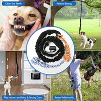 Thumbnail for Red And Colored Cotton Balls Interactive Bungee Dog Tug Toy - Hanging Rope Ball for Solo Play & Exercise