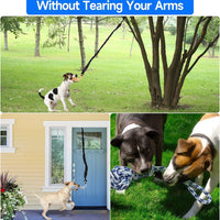 Thumbnail for Red And Colored Cotton Balls Interactive Bungee Dog Tug Toy - Hanging Rope Ball for Solo Play & Exercise