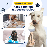 Thumbnail for Durable Knot Rope and Ball Dog Toy - Interactive Chew and Tug Play for Pets