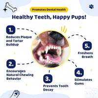 Thumbnail for Durable Knot Rope and Ball Dog Toy - Interactive Chew and Tug Play for Pets