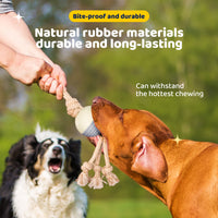 Thumbnail for Durable Knot Rope and Ball Dog Toy - Interactive Chew and Tug Play for Pets