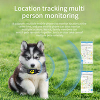 Thumbnail for Blue Real-Time Pet GPS Tracker Locator - Magnetic Charging, Multi-Mode Positioning for Dogs & Cats