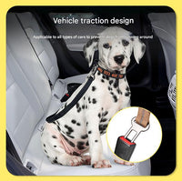 Thumbnail for Black Shock Absorbing Dog Leash with Reflective Stitching - 135cm for Small to Large Dogs