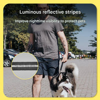 Thumbnail for Black Shock Absorbing Dog Leash with Reflective Stitching - 135cm for Small to Large Dogs
