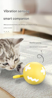 Thumbnail for Rechargeable Interactive Cat Toy - Self-Rolling Ball with LED Light,Standard Edition Blue