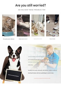 Thumbnail for Elevated Pet Feeding Bowl with Stainless Steel Inner - Promotes Healthy Digestion & Reduces Neck Strain(Pink)