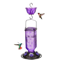 Thumbnail for Elegant Hanging Hummingbird Feeder - Decorative Glass Nectar Bottle with Ant Moat, 6 Feeding Ports(Purple)