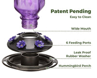 Thumbnail for Elegant Hanging Hummingbird Feeder - Decorative Glass Nectar Bottle with Ant Moat, 6 Feeding Ports(Purple)