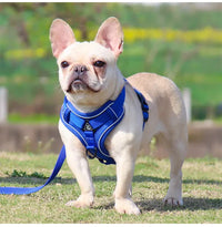 Thumbnail for Blue Reflective Mesh Dog Harness and Leash Set - Adjustable No-Pull Vest - M