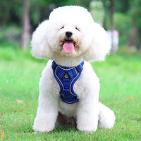 Thumbnail for Blue Reflective Mesh Dog Harness and Leash Set - Adjustable No-Pull Vest - L