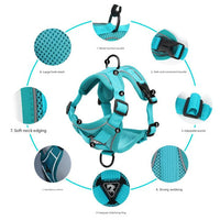 Thumbnail for Blue Reflective Mesh Dog Harness and Leash Set - Adjustable No-Pull Vest - L