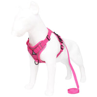 Thumbnail for Grey Reflective Mesh Dog Harness and Leash Set - Adjustable No-Pull Vest - L