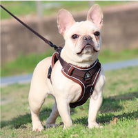 Thumbnail for Brown Reflective Mesh Dog Harness and Leash Set - Adjustable No-Pull Vest - L