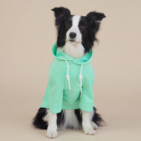 Thumbnail for Green Classic Dog Sweatshirt with Hood & Drawstrings - For Large Dogs (Size : 2XL)