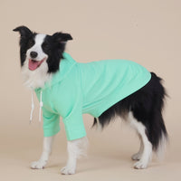 Thumbnail for Green Classic Dog Sweatshirt with Hood & Drawstrings - For Large Dogs (Size : 2XL)