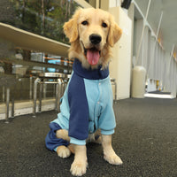 Thumbnail for 5XL Recommended 40-50 Pounds Blue Autumn-Winter Dog Hoodie for Medium to Large Breeds - Golden Retriever & Labrador