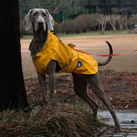 Thumbnail for 50# Yellow Waterproof Reflective Dog Raincoat for Small to Large Dogs