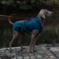 Thumbnail for 55# Blue Waterproof Reflective Dog Raincoat for Small to Large Dogs
