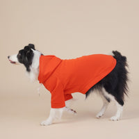 Thumbnail for Orange Classic Dog Sweatshirt with Hood & Drawstrings - For Large Dogs (Size : 8XL)