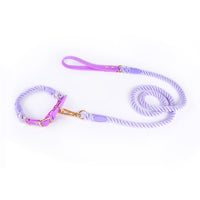 Thumbnail for Premium Leather Pet Collar and Leash - Soft, Strong Braided Rope (Purple - Size S)