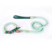Thumbnail for Premium Leather Pet Collar and Leash - Soft, Strong Braided Rope (Green - Size L)