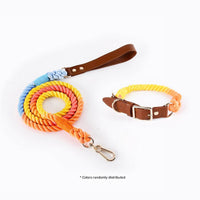 Thumbnail for Premium Leather Pet Collar and Leash - Soft, Strong Braided Rope (Iridescent Red - Size S)