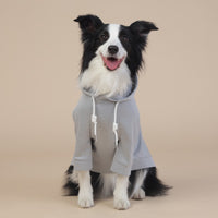 Thumbnail for Grey Classic Dog Sweatshirt with Hood & Drawstrings - For Large Dogs (Size : 7XL)
