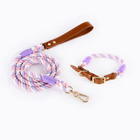 Thumbnail for Premium Leather Pet Collar and Leash - Soft, Strong Braided Rope (Pink Purple - Size S)