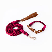 Thumbnail for Premium Leather Pet Collar and Leash - Soft, Strong Braided Rope (Wine red - Size L)