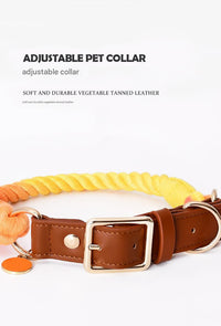 Thumbnail for Premium Leather Pet Collar and Leash - Soft, Strong Braided Rope (Wine red - Size S)